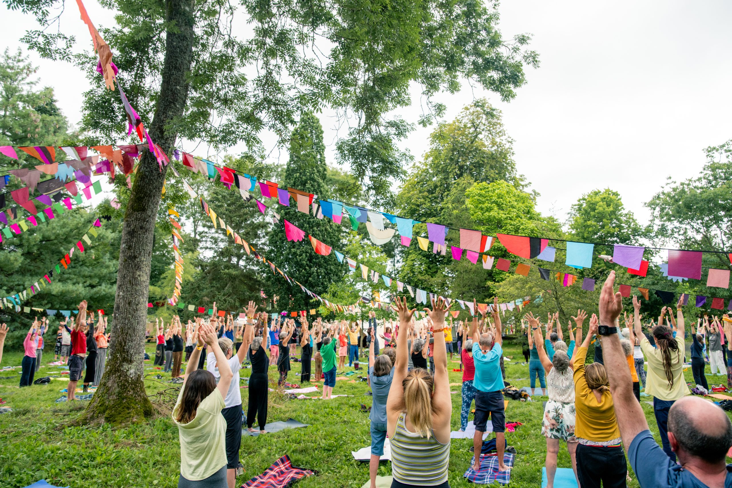 WOMAD 2023 festival goers taking part in a morning yoga session in the gorgeous arboretum area