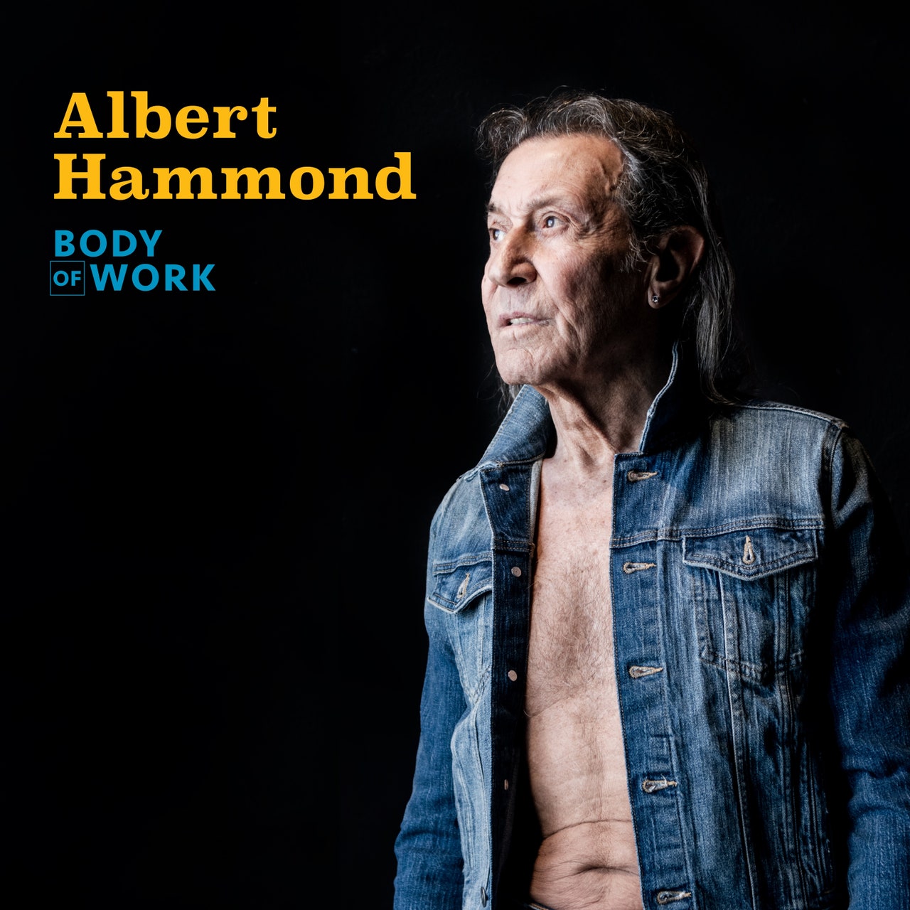 Albert Hammond: Body of Work