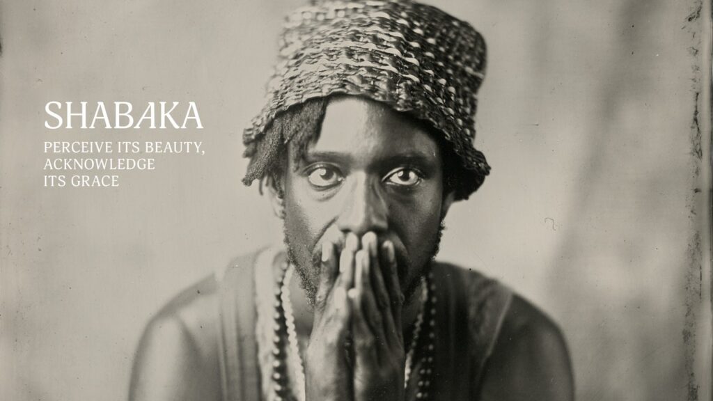 Shabaka: Perceive Its Beauty, Acknowledge Its Grace Album Review