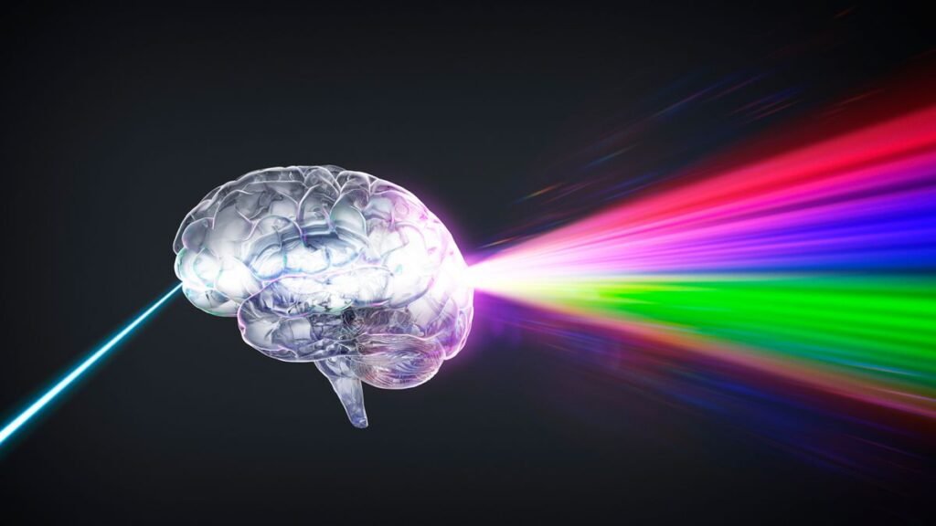 The Brainstorms Mission will divulge what your mind seems like when it listens to Crimson Floyd