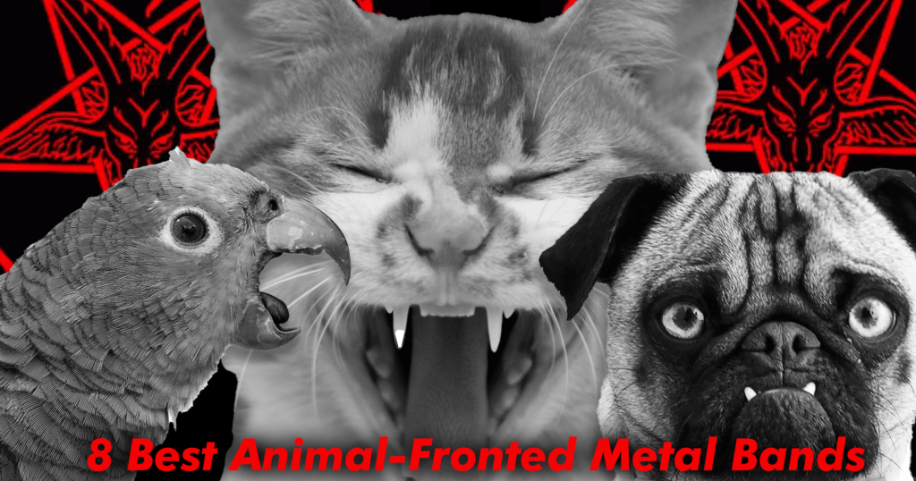 8 Highest Animal-Fronted Steel Bands