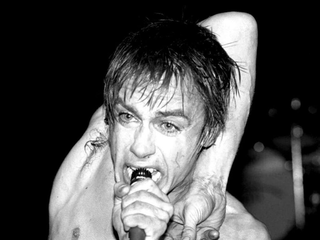 The track that Iggy Pop believes invented thrash steel