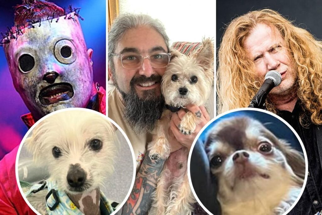 10 Rock + Steel Musicians Who Have Little Canine