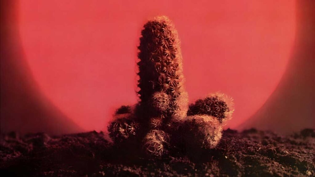 Cactus: Cactus album overview | Louder
