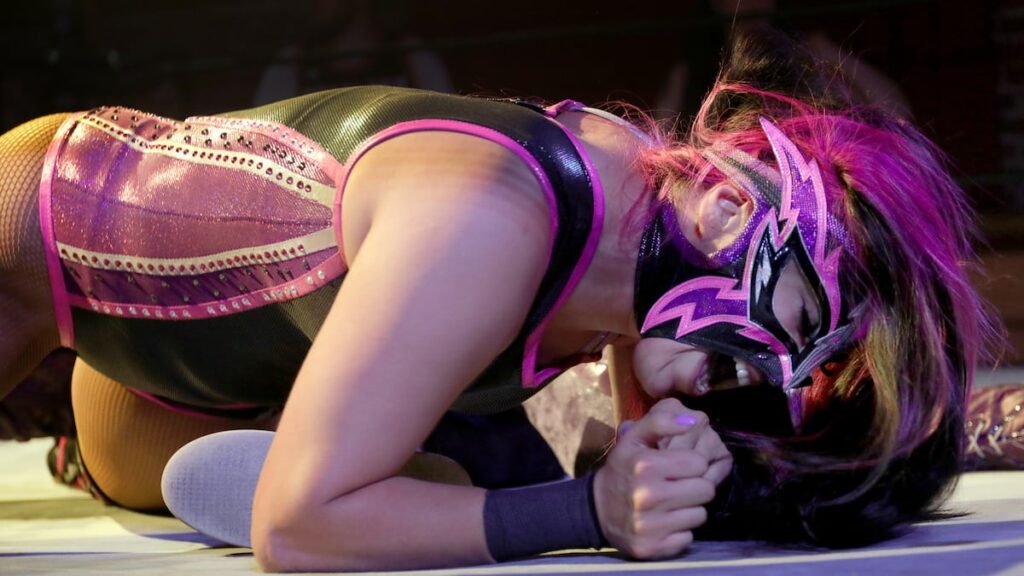 Portland’s MetalMania blends wrestling and heavy metallic for raucous tournament