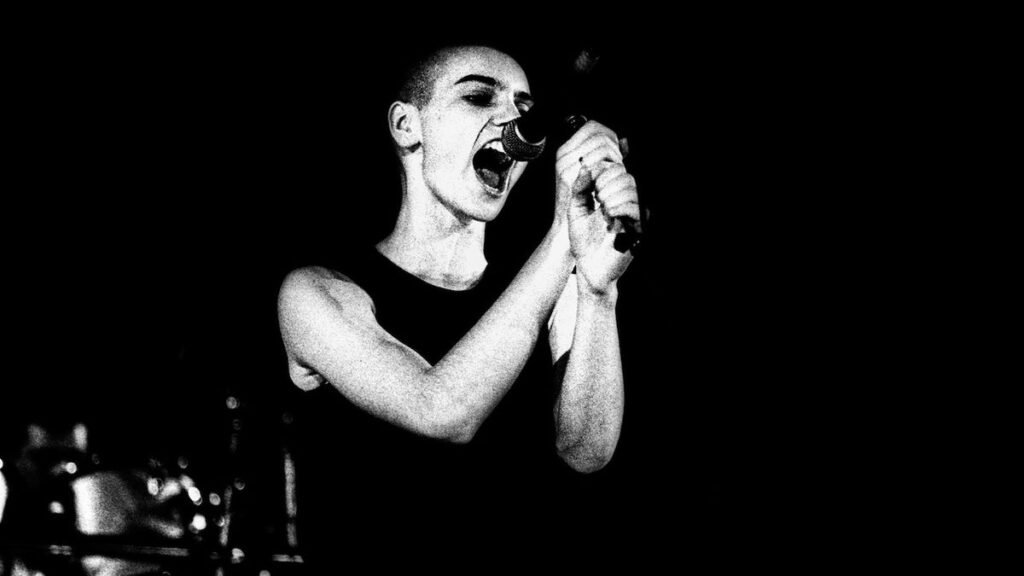 “The arena is stuffed with cowards. You spot cowards so much whilst you’re doing one thing that’s truthful, since you remind folks of their very own dishonesty.” Remembering Sinéad O’Connor, three hundred and sixty five days on
