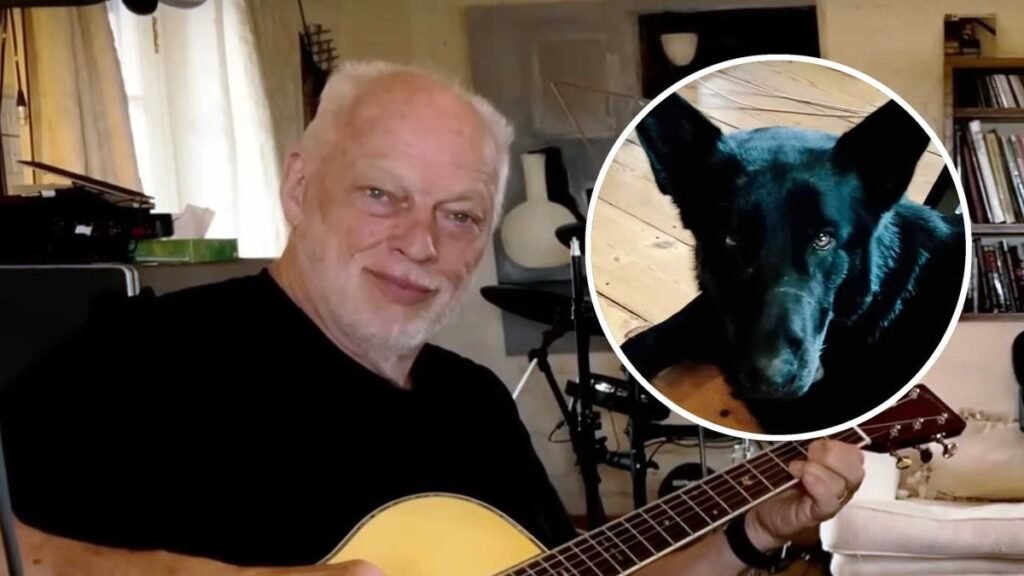 David Gilmour releases chilled practice session photos of Want You Have been Right here David Gilmour releases chilled practice session photos of Want You Have been Right here