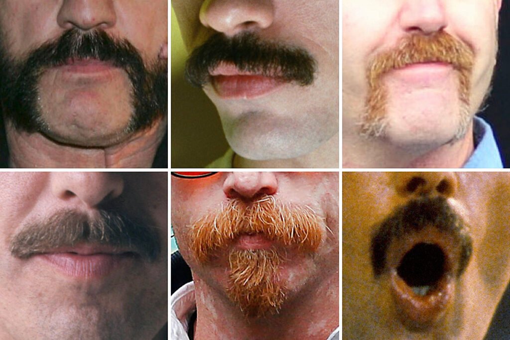 The 35 Absolute best Mustaches in Rock Track