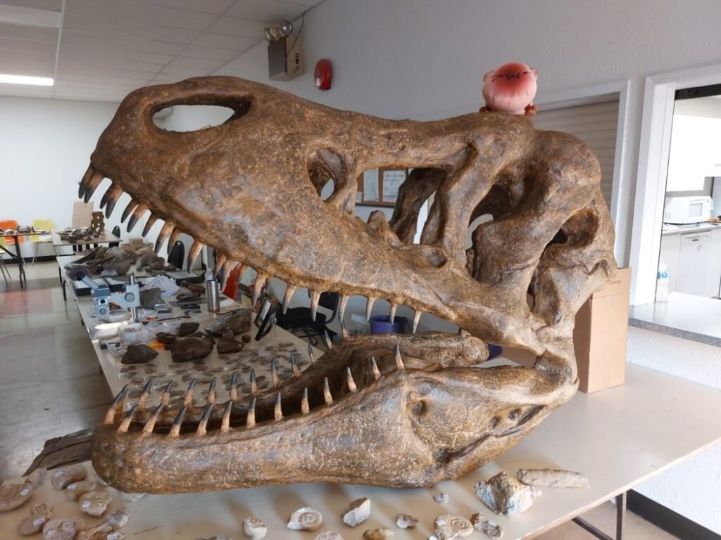 Dinosaurs and rock tune come in combination in Outlook