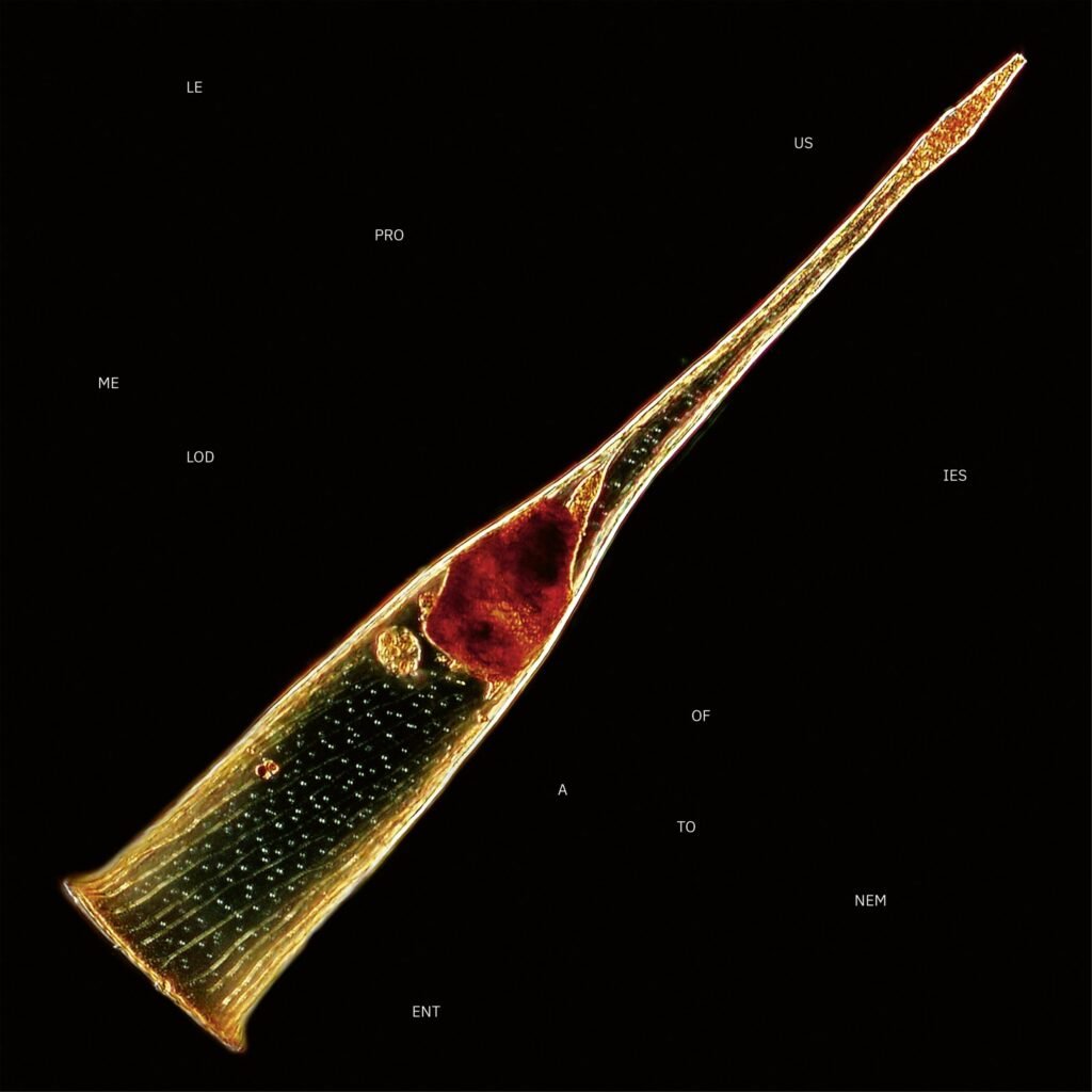 Album Assessment: LEPROUS Melodies of Atonement Album Assessment: LEPROUS Melodies of Atonement